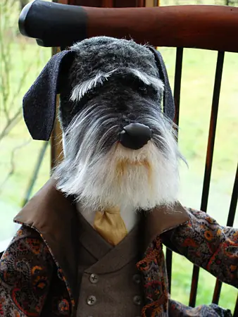 Schnauzer outdoors
