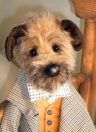 Border terrier pup, head study