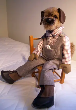 Border terrier pup, full length